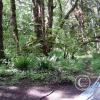 lena creek campground 1