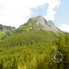 mt pershing 1