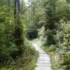cape alava trail 2