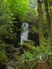 merriman falls 2