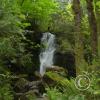 merriman-falls-2_18106394052_o