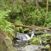merriman-falls-3_17487250494_o