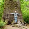 rain-forest-monarch-2_17489407163_o
