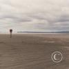 beach-at-kalaloch-looking-north-2_17486733234_o