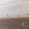 beach-at-kalaloch-looking-north_17921638740_o