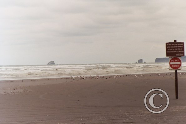 beach-at-kalaloch-looking-north_17921638740_o