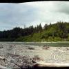 ruby-beach-looking-inland_18110365821_o