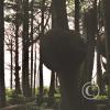 trees-with-tumors-2_18105937382_o
